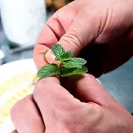 Le Rondini Отель типа 