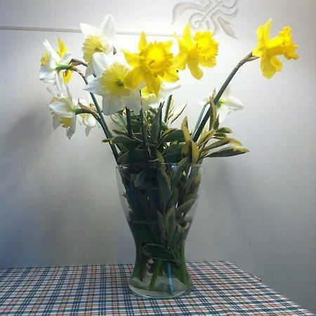 Bed & Breakfast Le Rondini