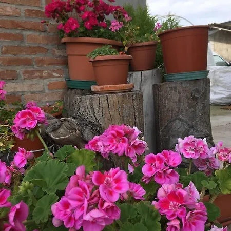 Bed & Breakfast Le Rondini 3*