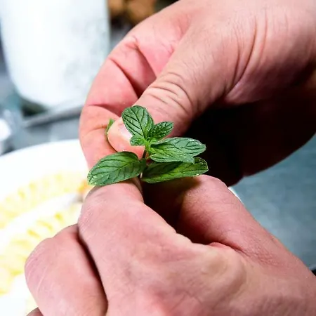 Le Rondini Oda ve Kahvaltı Bagnolo Mella
